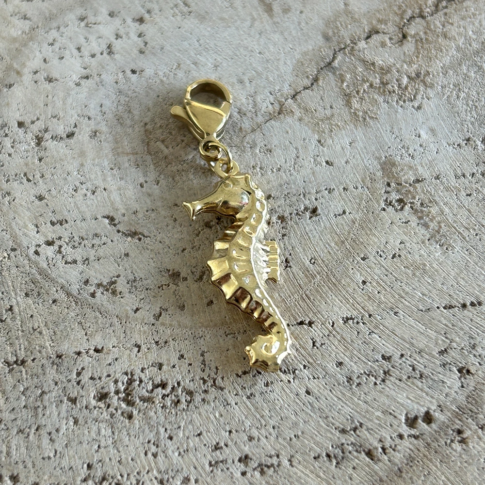 Grigri charm hippocampe doré